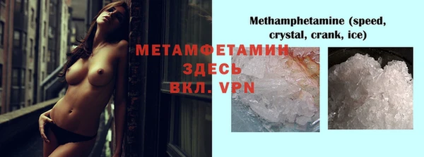ПСИЛОЦИБИНОВЫЕ ГРИБЫ Заволжье