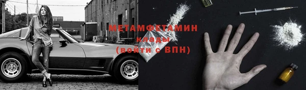 ПСИЛОЦИБИНОВЫЕ ГРИБЫ Заволжье