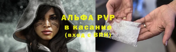 mdpv Заводоуковск