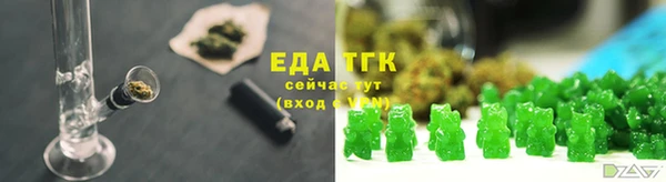 ПСИЛОЦИБИНОВЫЕ ГРИБЫ Заволжье