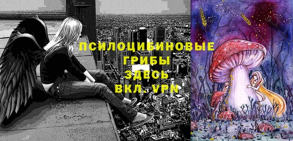 mdpv Заводоуковск