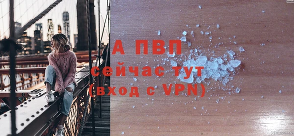 ПСИЛОЦИБИНОВЫЕ ГРИБЫ Заволжье