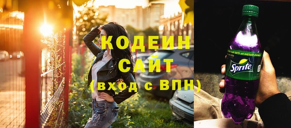 mdpv Заводоуковск