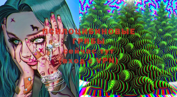 ПСИЛОЦИБИНОВЫЕ ГРИБЫ Заволжье