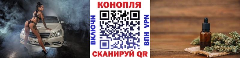 Канабис ГИДРОПОН  Судак 